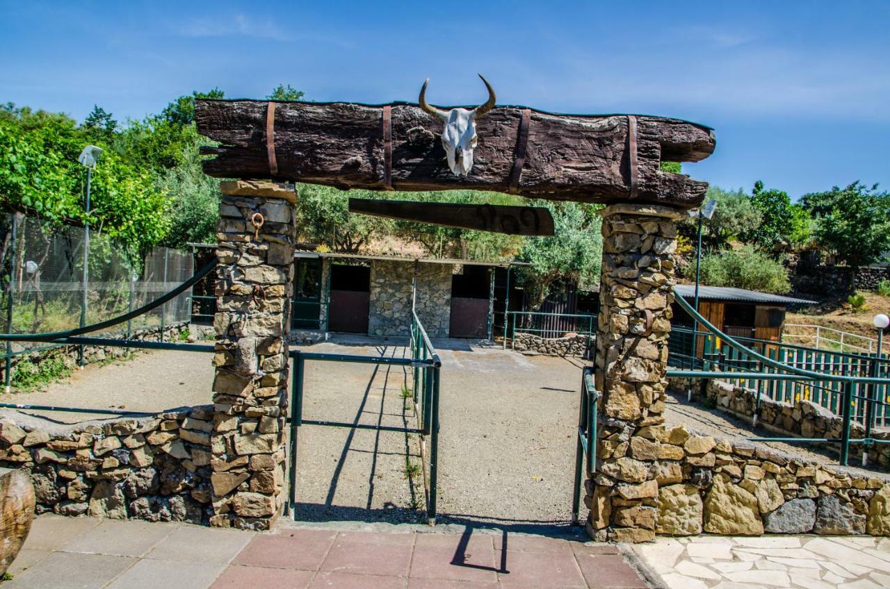 B&B Etna Ranch ピエディモンテ・エトネーオ エクステリア 写真