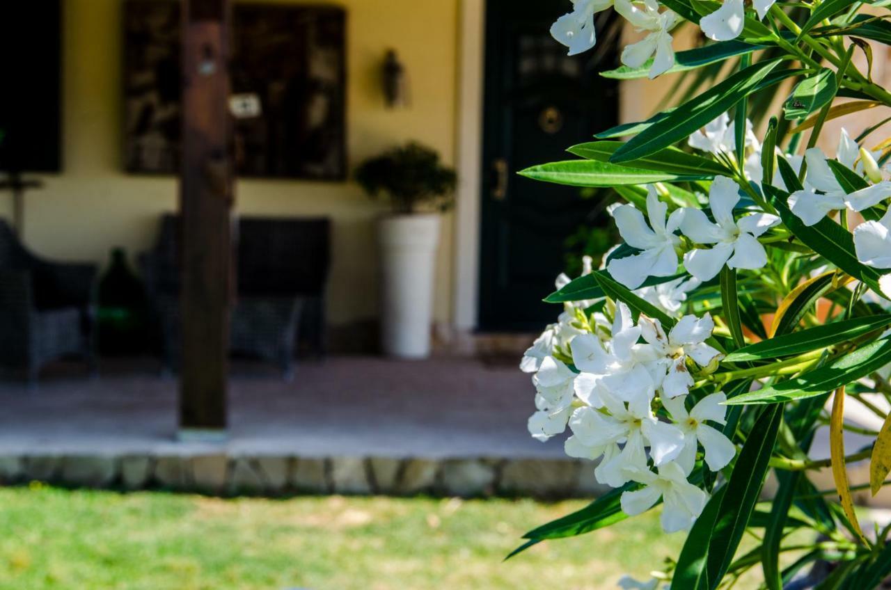 B&B Etna Ranch ピエディモンテ・エトネーオ エクステリア 写真